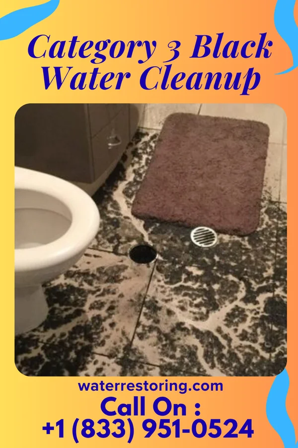 Category 3 Black Water Cleanup in Marianna, FL