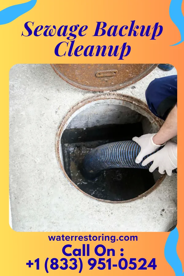 Sewage Backup Cleanup in Marianna, FL